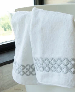 Anice Guest Towel (Set Of 2)